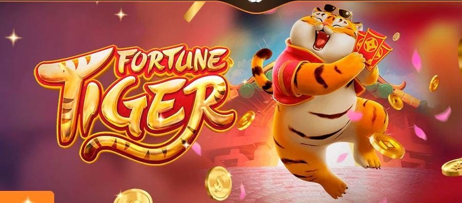 Live dealer broadcast on Wild Rift table at tomatbet slot
